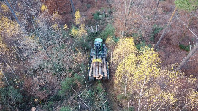 Drohnenaufnahme während Waldarbeiten der Firma Benköholz - Webschmiede