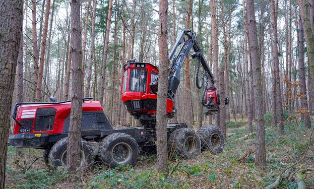 Waldarbeit mit dem Harvester