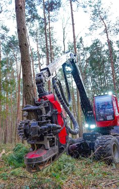 Harvester bei der Waldarbeit