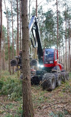 Harvester bei der Waldarbeit