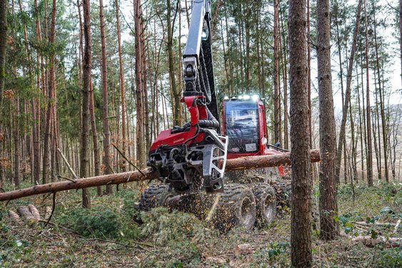 Harvester bei der Waldarbeit