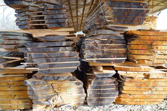 Geschnittene Baumstämme übereinandergestapelt