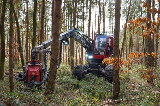 Waldarbeit mit dem Harvester