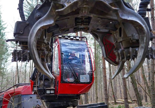 Harvester bei der Waldarbeit