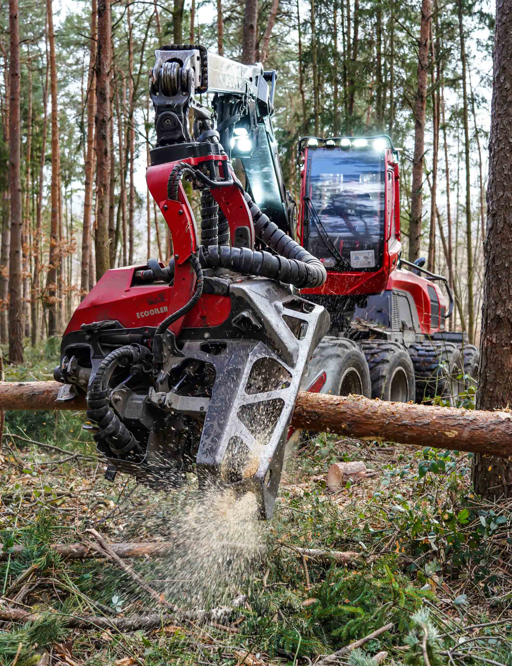 Harvester bei der Waldarbeit